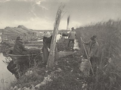 Under sivhøsten, 1886 (foto) af Thomas Frederick Goodall
