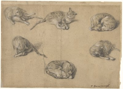 Seks undersøgelser af en kat af Thomas Gainsborough
