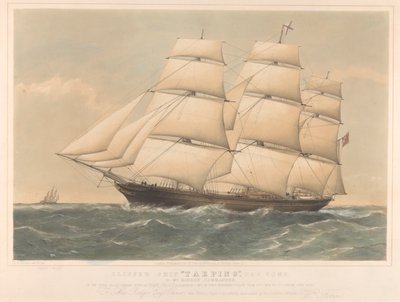 Klippeskibet Taeping, 767 tons af Thomas Goldsworth Dutton