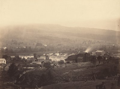Olyfant af Thomas H. Johnson