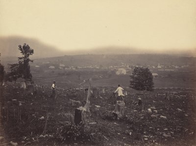 Waymart, Del. & Hudson Canal Co., ca. 1863-1865. af Thomas H. Johnson