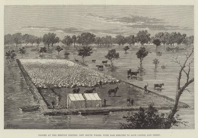 Oversvømmelser ved Brewon Station, New South Wales, med dæmning opført for at redde kvæg og får af Thomas Harrington Wilson