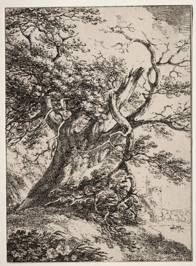 Prøver af polyautografi: Landskab med et egetræ, 1803. af Thomas Hearne