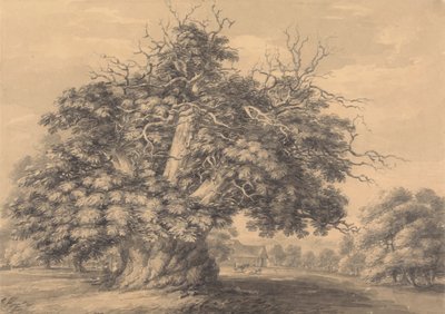 Kastanjetræet ved Little Wymondley, Hertfordshire af Thomas Hearne