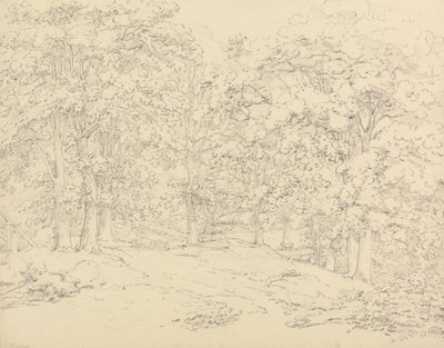 Træer i Ashtead Park, Surrey af Thomas Hearne
