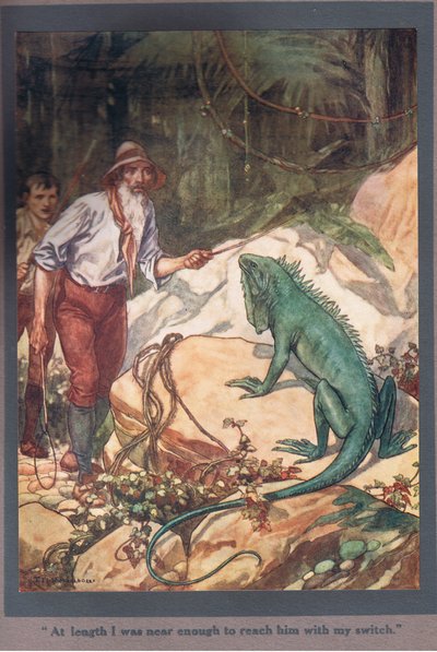 Til sidst var jeg tæt nok på til at nå ham med min kontakt (farvelitografi) af Thomas Heath Robinson