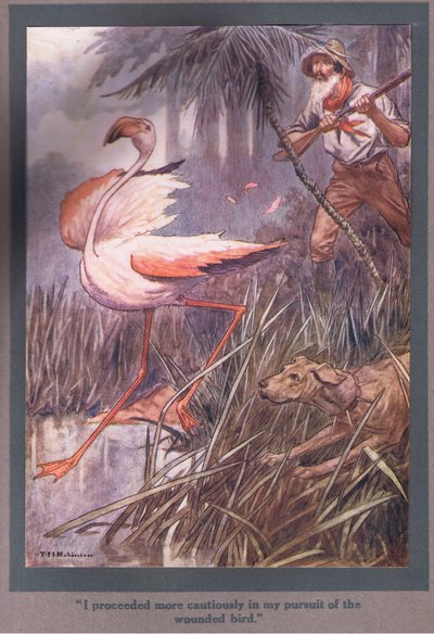 Jeg gik mere forsigtigt frem i min jagt på den sårede fugl (farvelitografi) af Thomas Heath Robinson