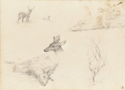 Skitsebog over Landskabs- og Dyrefag, 1860-64. af Thomas Hewes Hinckley