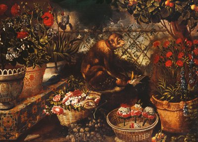 En abe i en indhegnet have, af Thomas Hiepes