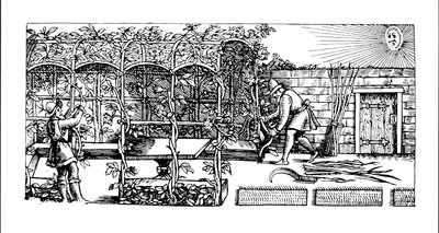 Arbor bygges som en skygge mod solen, fra 