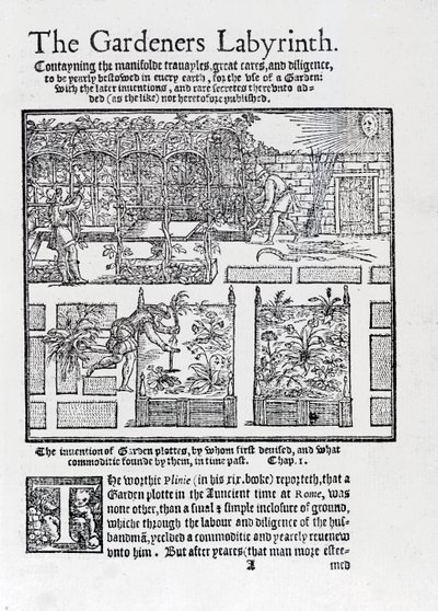 Lysthus bygget som en skygge mod solen og beplantning i højbede, fra The Gardeners Labyrinth, 1577 af Thomas Hill