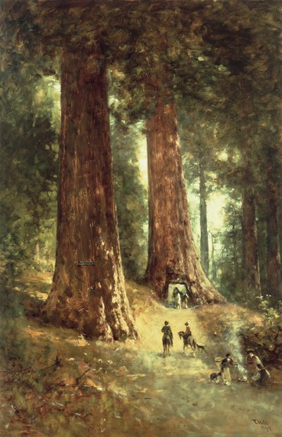 I Redwoods, 1899 af Thomas Hill
