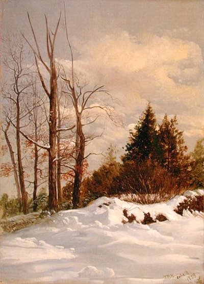 Catskill vinterlandskab af Thomas Hiram Hotchkiss