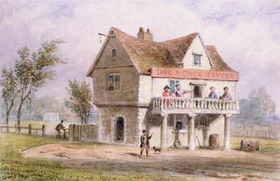 Udsigt over den gamle hund og and, St. George