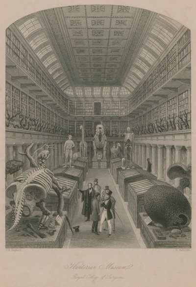 Hunterian Museum, Royal College of Surgeons, London af Thomas Hosmer Shepherd