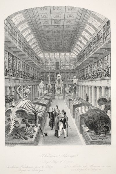 Hunterian Museum, Royal College of Surgeons, fra pubben 