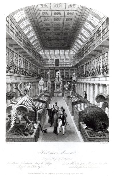 The Hunterian Museum, illustration til 