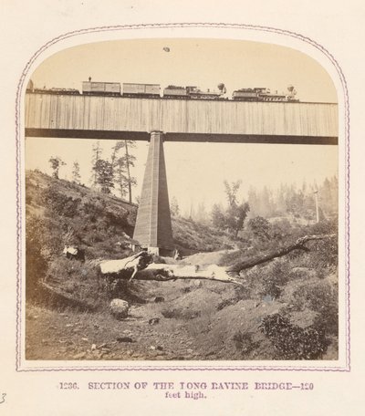 Udsnit af Long Ravine-broen af Thomas Houseworth