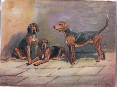 Hunde, illustration fra 