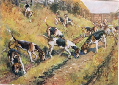 Næsen mod jorden, illustration fra "Hounds af Thomas Ivester Lloyd