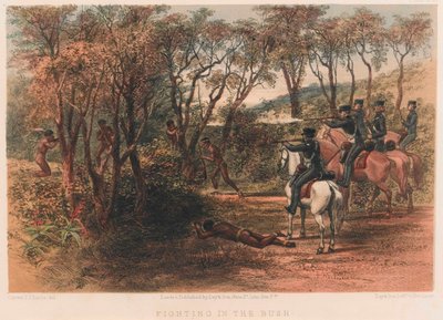 Fighting in the Bush, 8. Cape Frontier War af Thomas J. Lucas
