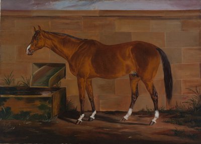 Portræt af Lexington, ca. 1857. af Thomas J. Scott