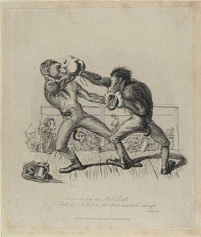 Monkeys Boxing, fra Monkey-ana af Thomas Landseer