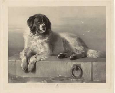 Portræt af redningshunden Bob, liggende på en mole Et fremtrædende medlem af Humane Society (titel på objekt) af Thomas Landseer