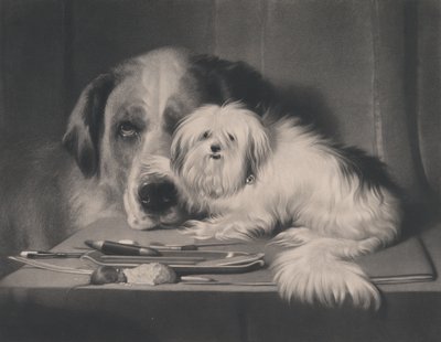 Løvehunden fra Malta - Den sidste af hans stamme, 1844. af Thomas Landseer