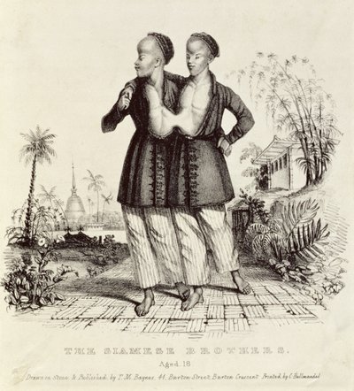 De siamesiske brødre, 18 år, trykt af Charles Hullmandel (1789-1850), ca. 1829 af Thomas Mann Baynes