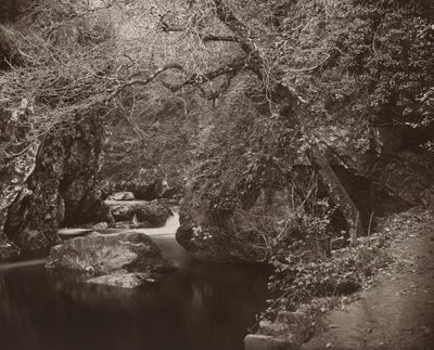 The Dargle Hole, ca. 1865. af Thomas Marcus Brownrigg