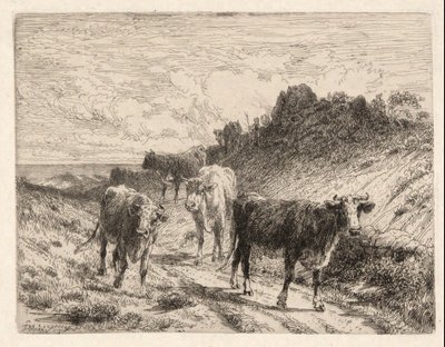 Køer af Thomas Moran