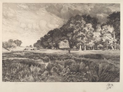 Long Island Landskab af Thomas Moran
