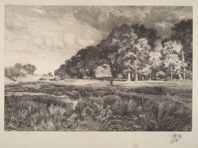 Landskab på Long Island af Thomas Moran