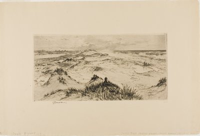 Kigger over sandklitterne - Easthampton af Thomas Moran