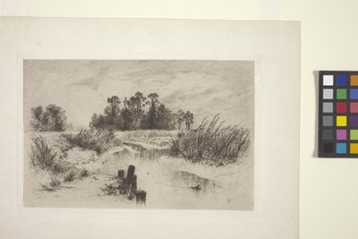 Sumpet landskab med strøm (ætsning på papir) af Thomas Moran