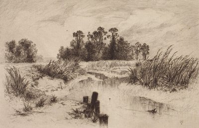 Sumpet landskab med bæk af Thomas Moran