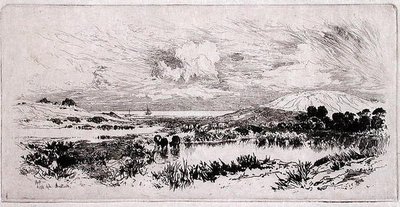 Montauk Ponds, Long Island af Thomas Moran