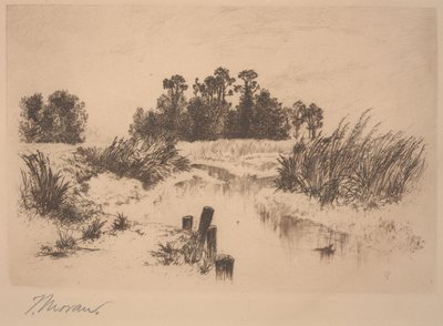 Passaic Meadows (i Newark Meadows) af Thomas Moran
