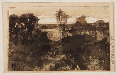 Grand Canyon af Thomas Moran