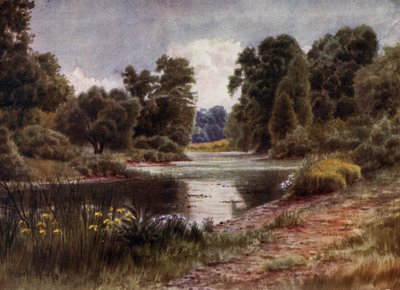 Kew Gardens: The Lake, Looking South (farve litho) af Thomas Mower Martin