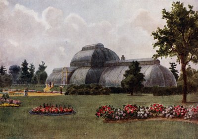 Kew Gardens: The Palm House (farve litho) af Thomas Mower Martin