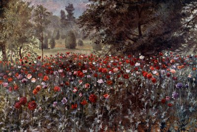 Kew Gardens: The Poppy Beds (farve litho) af Thomas Mower Martin