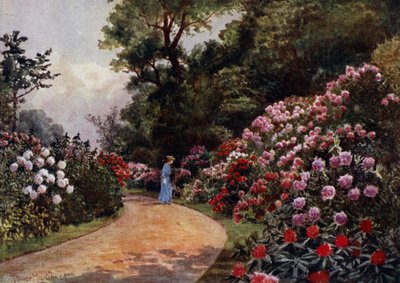 Kew Gardens: The Rhododendron Walk (farve litho) af Thomas Mower Martin