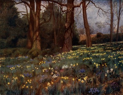 Kew Gardens: The Wild Garden in Spring (farve litho) af Thomas Mower Martin