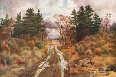 Vej nær Fundy-bugten, efterår (farvelitografi) af Thomas Mower Martin