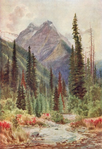  af Thomas Mower Martin