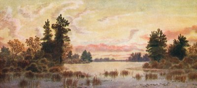  af Thomas Mower Martin