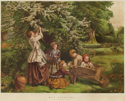 maj blomstrer (chromolitho) af Thomas P. Hall