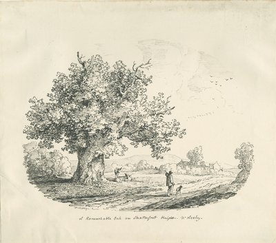 Arley - Shatterfort Height: lithograph, 1839dani af Thomas Peploe Wood